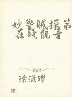 妙警贼探第四季 在线观看