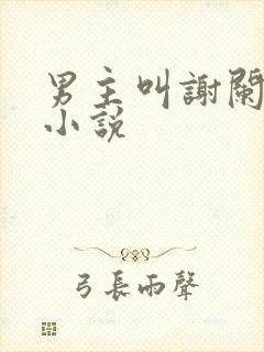 男主叫谢阑深的小说