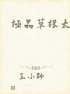 极品草根太子