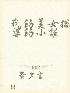 我的美女总裁老婆的小说