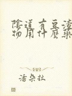 阴道有豆渣分泌物用什么药