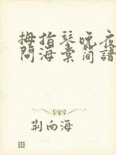 拇指琴晚夜微雨问海棠简谱