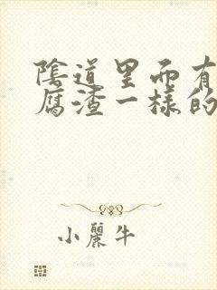 阴道里面有像豆腐渣一样的东西怎么办