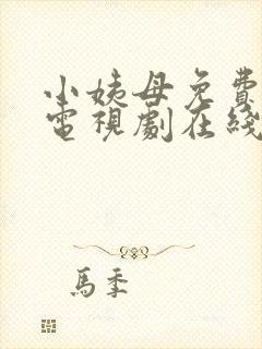 小姨母免费完整电视剧在线观看国语封面