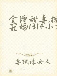 金牌甜妻,总裁宠婚1314小说