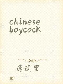 chineseboycock