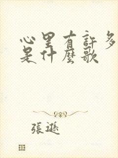 心里有许多的愁是什么歌封面