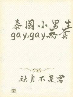 泰国小男生同性gay,gay无套