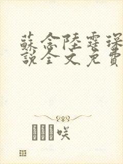 苏念陆霆琛的小说全文免费阅读