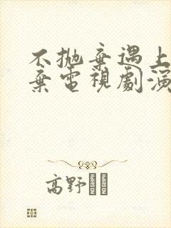 不抛弃遇上不放弃电视剧演员表