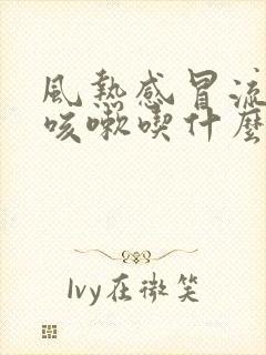 风热感冒流鼻涕咳嗽吃什么药