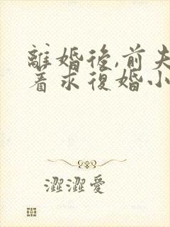 离婚后,前夫哭着求复婚小说正版