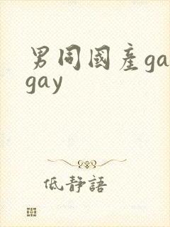 男同国产gaygay
