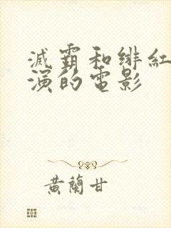 灭霸和绯红女巫演的电影封面