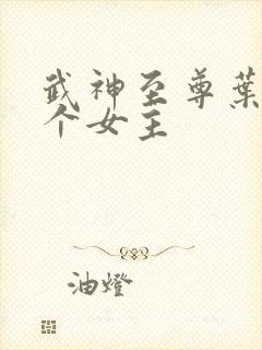 武神至尊叶风几个女主