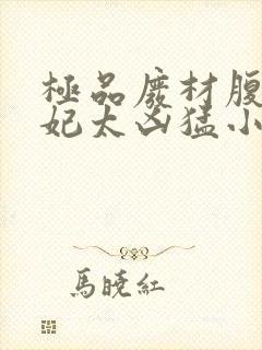 极品废材腹黑狂妃太凶猛小说