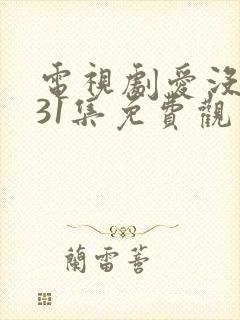 电视剧爱没有错31集免费观看