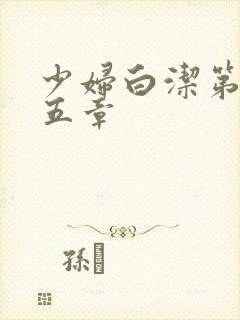 少妇白洁第二十五章