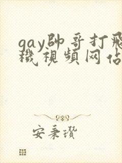 gay帅哥打飞机视频网站封面