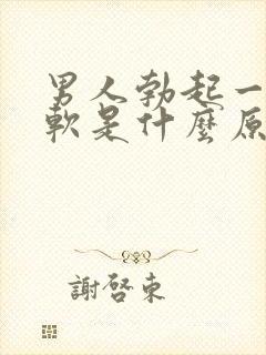 男人勃起一会就软是什么原因