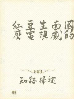 红豆生南国是什么电视剧的主题曲