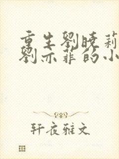 重生刘晓莉收了刘亦菲的小说