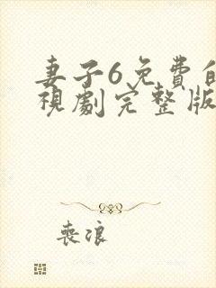 妻子6免费的电视剧完整版中文在线观看封面