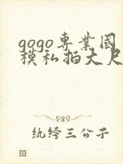 gogo专业国模私拍大尺度