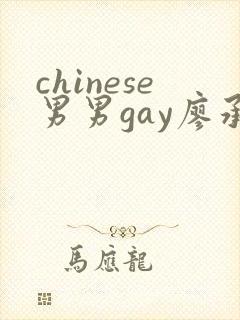 chinese男男gay廖承宇网站封面