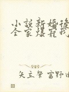 小说新婚后大叔全家爆宠我封面