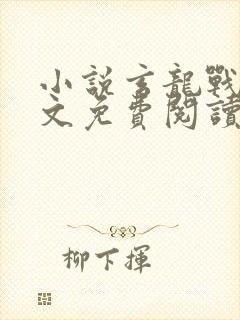 小说玄龙战神全文免费阅读