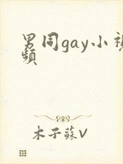 男同gay小视频