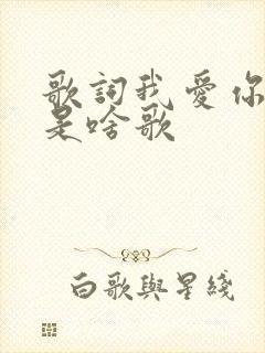 歌词我爱你中国是啥歌