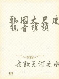 韩国大尺度在线观看视频