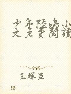 少年陆鸣小说全文免费阅读封面