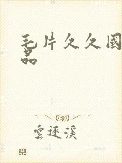 毛片久久国产精品