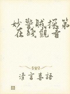 妙警贼探第二季 在线观看