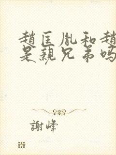 赵匡胤和赵光义是亲兄弟吗封面