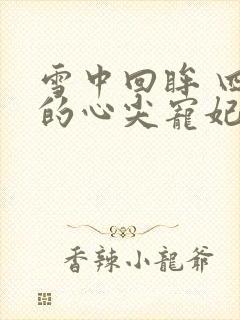 雪中回眸 四爷的心尖宠妃