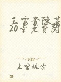 王富贵陈芸小说20章免费阅读