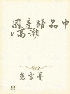 国产精品中出av高潮