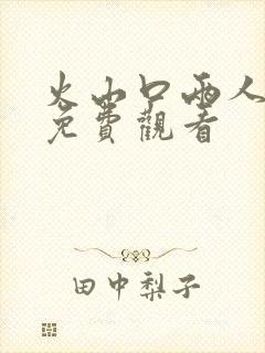 火山口两人电影免费观看