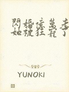 闪婚亿万老公,她被狂宠了封面