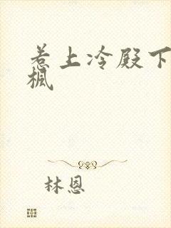 惹上冷殿下司徒枫