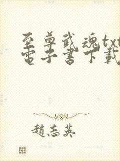 至尊武魂txt电子书下载