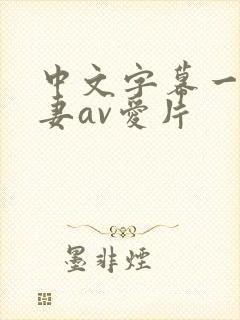 中文字幕一级人妻av爱片