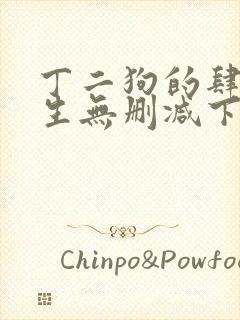 丁二狗的肆意人生无删减下载