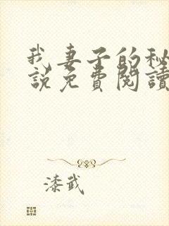 我妻子的秘密小说免费阅读