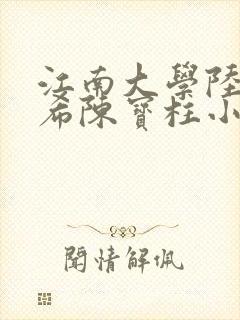 江南大学陆黄若希陈宝柱小说封面