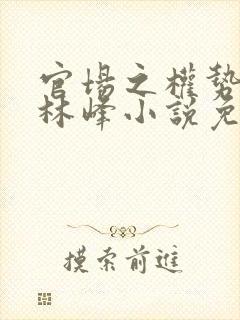 官场之权势滔天林峰小说免费听书